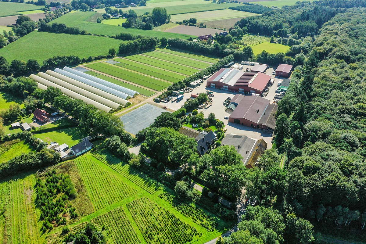 Luftbild Erdbeerhof Beneke in Goldenstedt